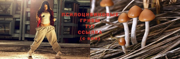 СК Алзамай